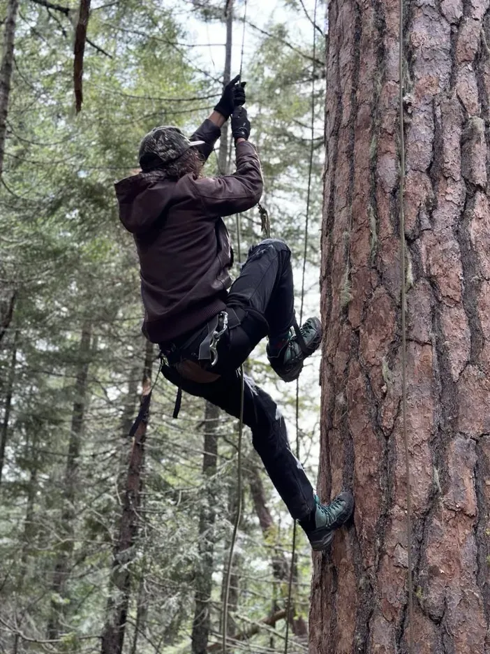 Forest defender Solal Golden climbing up to the tree-sit.